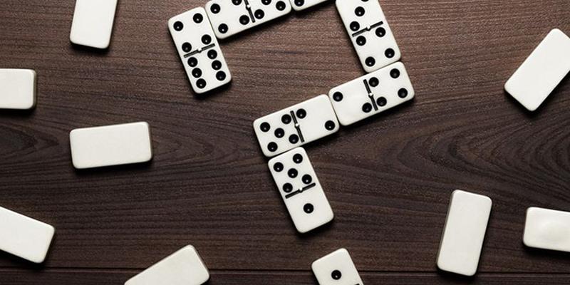 Bài cẩu là gì? Khám phá những điều thú vị!